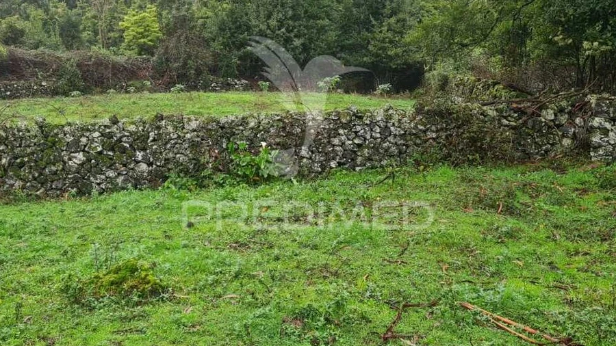 Terreno para Venda em São Mateus da Calheta