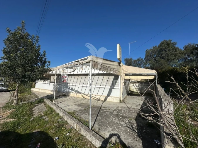 Loja para Venda em Romeira e Várzea Foto 4