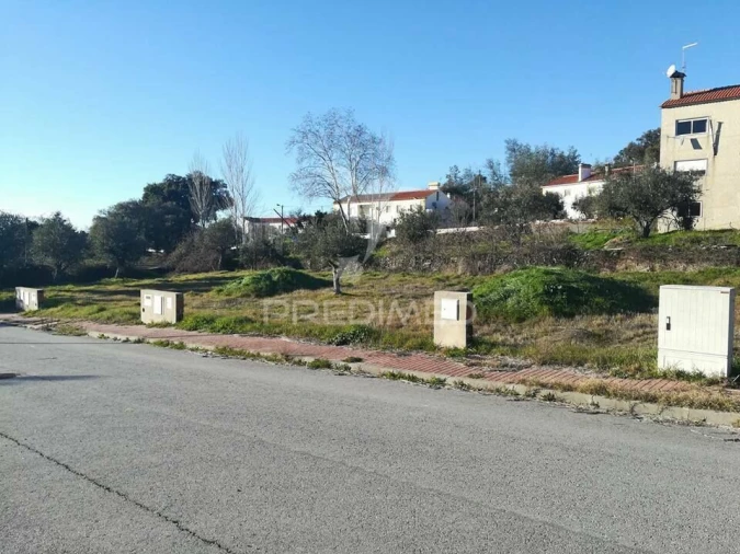 Terreno para Venda em Ribeira de Nisa e Carreiras Foto 2