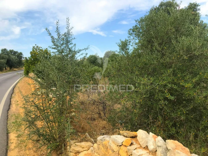 Terreno para Venda em Moncarapacho e Fuseta Foto 4