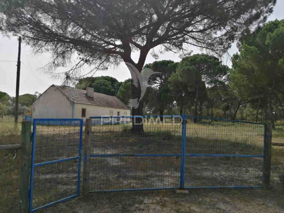 Quinta T2 para Venda em Grândola e Santa Margarida da Serra Foto 4