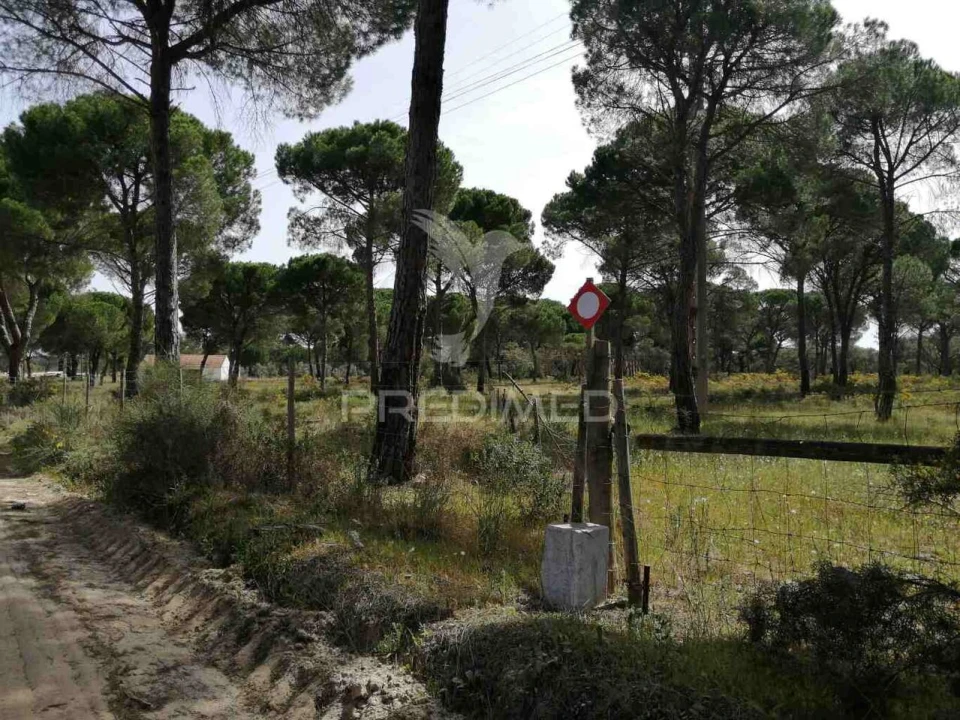 Quinta T2 para Venda em Grândola e Santa Margarida da Serra Foto 38