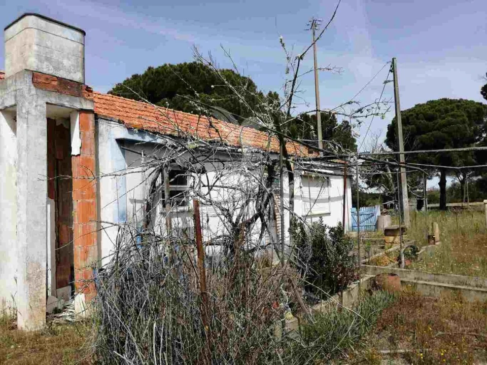 Quinta T2 para Venda em Grândola e Santa Margarida da Serra Foto 13