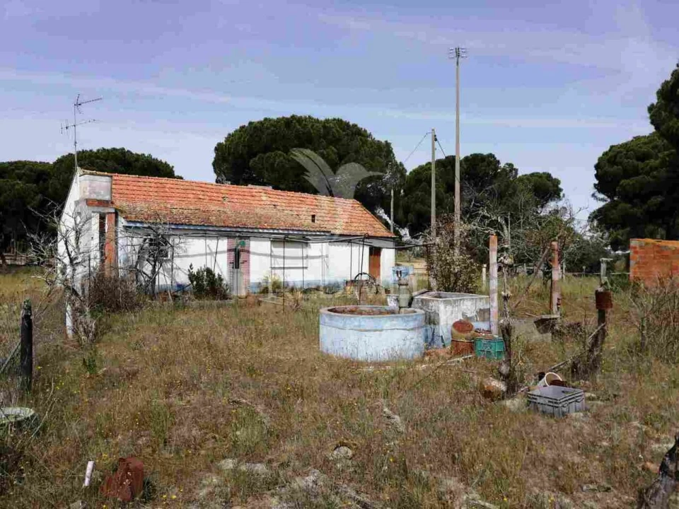 Quinta T2 para Venda em Grândola e Santa Margarida da Serra Foto 1