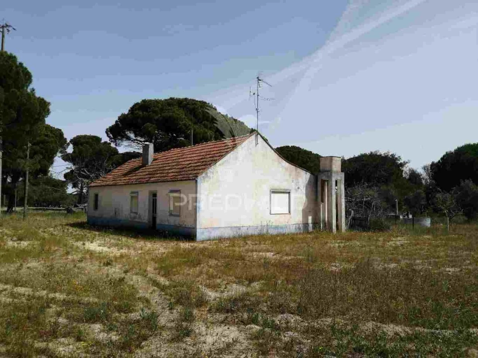Quinta T2 para Venda em Grândola e Santa Margarida da Serra Foto 2