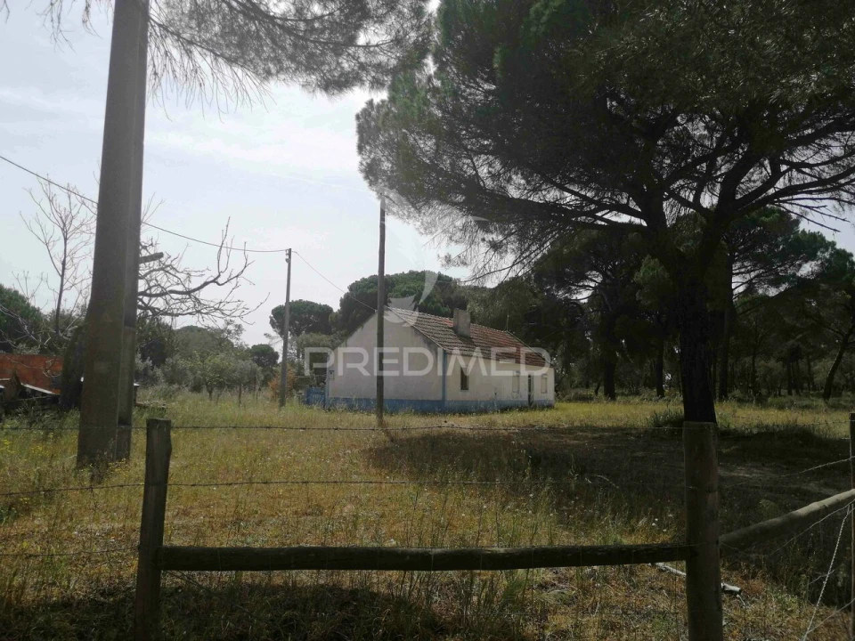 Quinta T2 para Venda em Grândola e Santa Margarida da Serra Foto 7