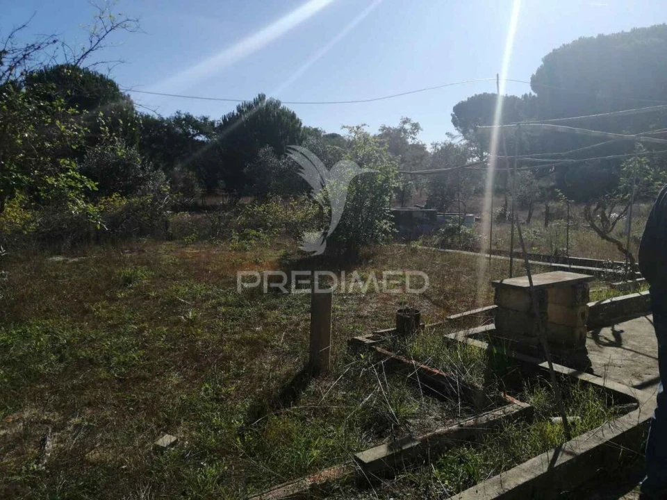 Quinta T2 para Venda em Grândola e Santa Margarida da Serra Foto 30