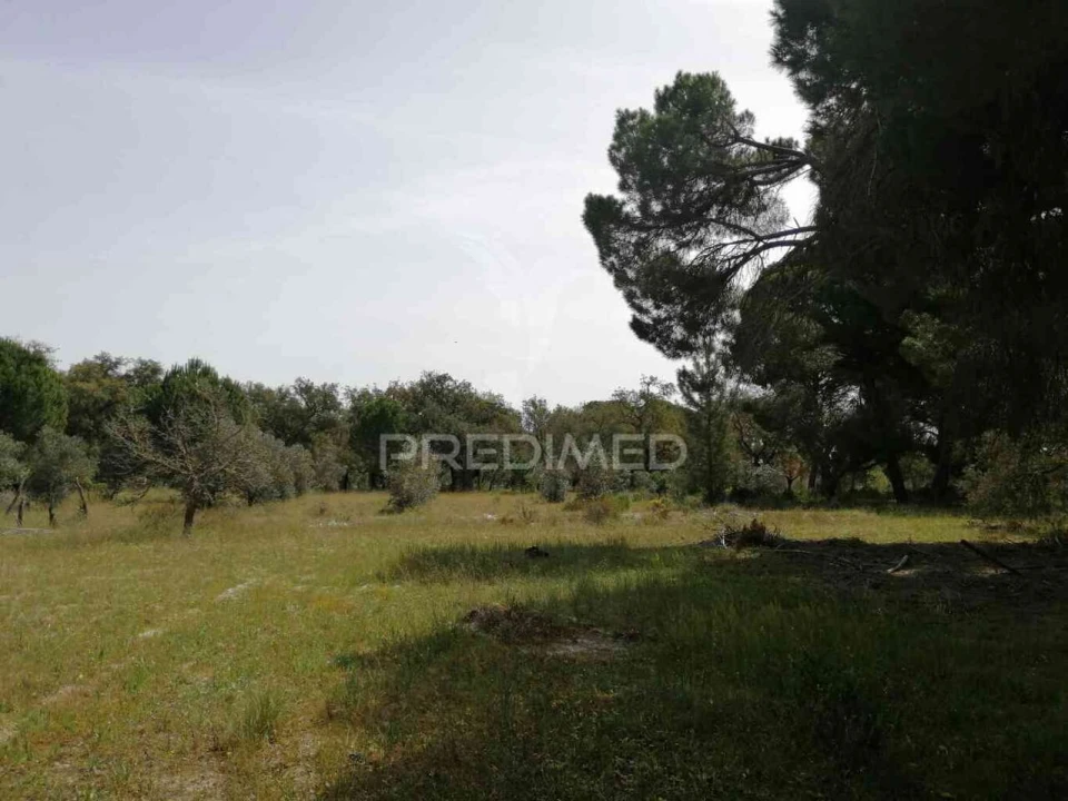 Quinta T2 para Venda em Grândola e Santa Margarida da Serra Foto 33