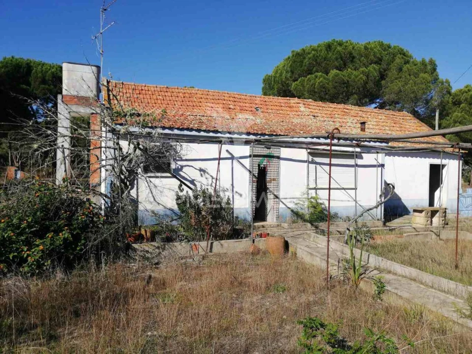 Quinta T2 para Venda em Grândola e Santa Margarida da Serra Foto 12