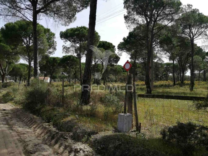 Quinta T2 para Venda em Grândola e Santa Margarida da Serra Foto 38