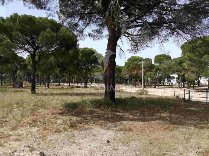 Quinta T2 para Venda em Grândola e Santa Margarida da Serra Foto 36