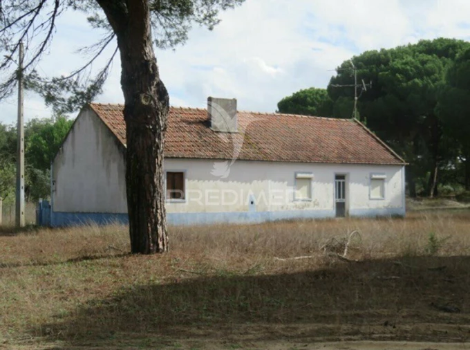 Quinta T2 para Venda em Grândola e Santa Margarida da Serra Foto 3