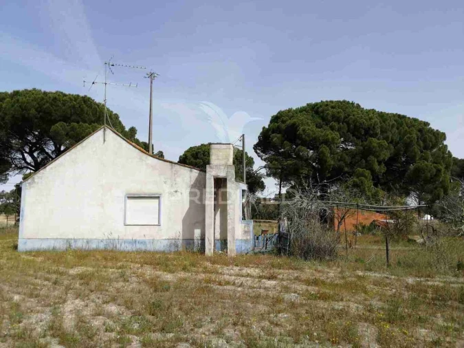 Quinta T2 para Venda em Grândola e Santa Margarida da Serra Foto 9