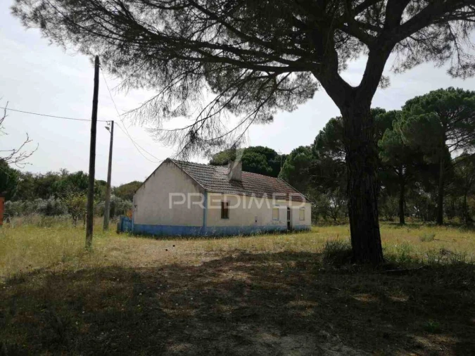 Quinta T2 para Venda em Grândola e Santa Margarida da Serra Foto 5