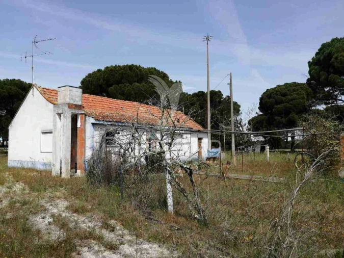 Quinta T2 para Venda em Grândola e Santa Margarida da Serra Foto 11