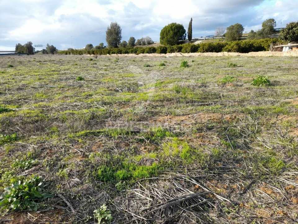 Terreno para Arrendamento em Conceição e Estoi Foto 10