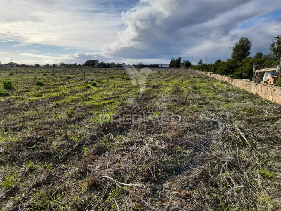 Terreno para Arrendamento em Conceição e Estoi Foto 2