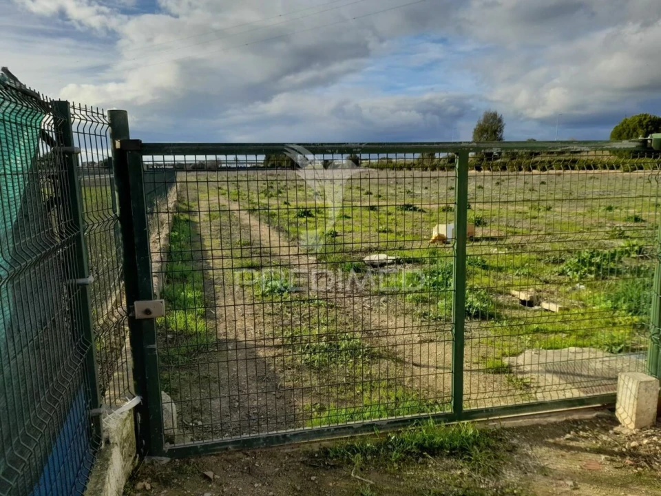 Terreno para Arrendamento em Conceição e Estoi Foto 5