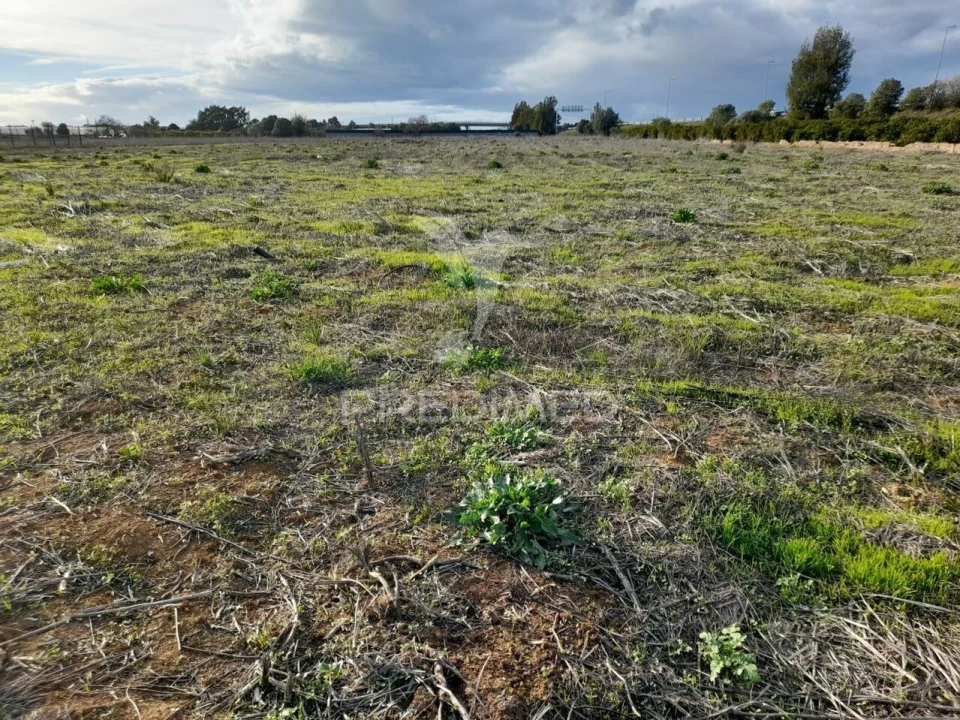 Terreno para Arrendamento em Conceição e Estoi Foto 4