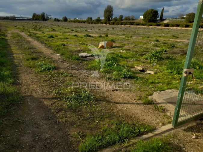 Terreno para Arrendamento em Conceição e Estoi Foto 8