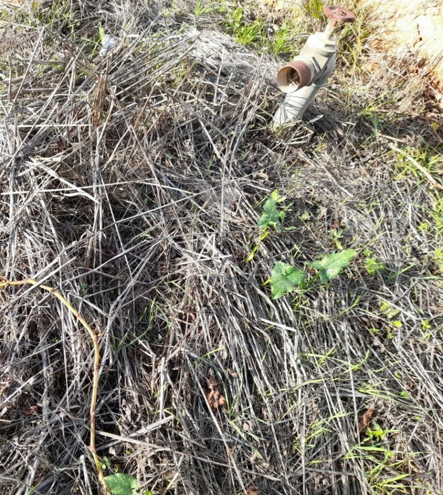 Terreno para Arrendamento em Conceição e Estoi Foto 9