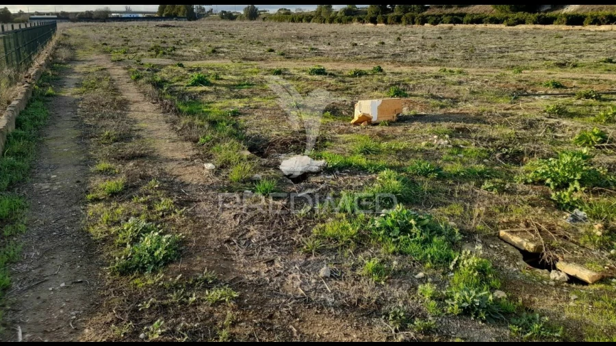 Terreno para Arrendamento em Conceição e Estoi