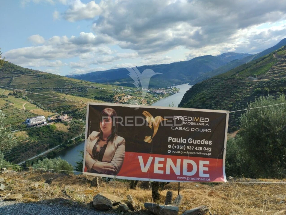 Terreno para Venda em Galafura e Covelinhas Foto 4