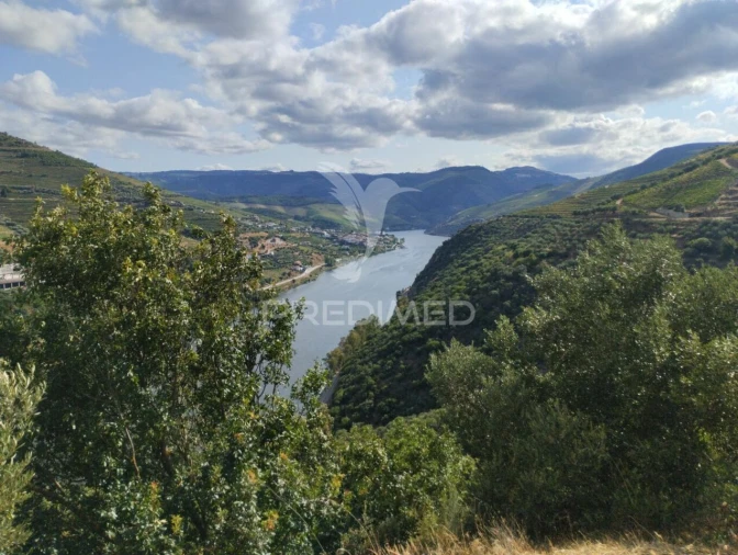 Terreno para Venda em Galafura e Covelinhas Foto 2