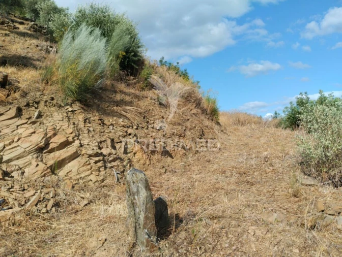 Terreno para Venda em Galafura e Covelinhas Foto 3