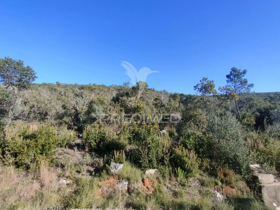 Terreno para Venda em Malhou, Louriceira e Espinheiro Foto 5
