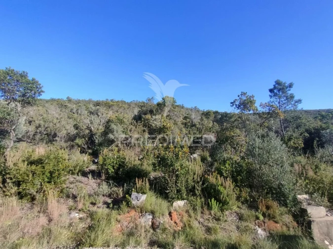 Terreno para Venda em Malhou, Louriceira e Espinheiro Foto 5