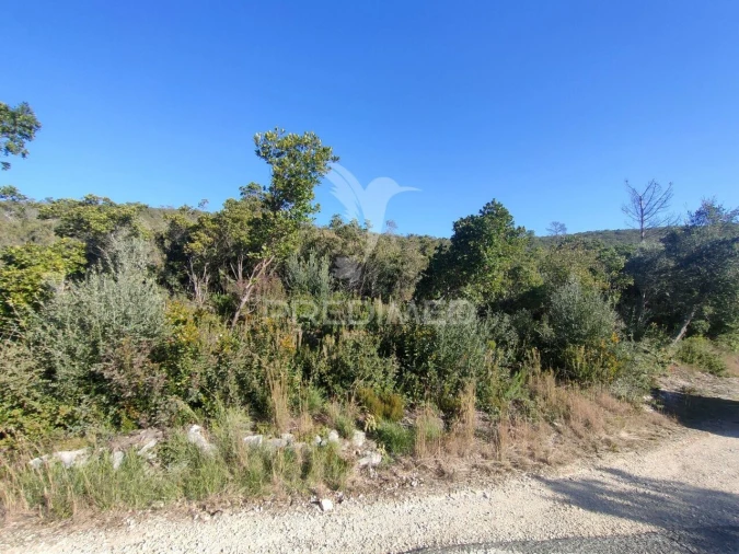 Terreno para Venda em Malhou, Louriceira e Espinheiro Foto 3