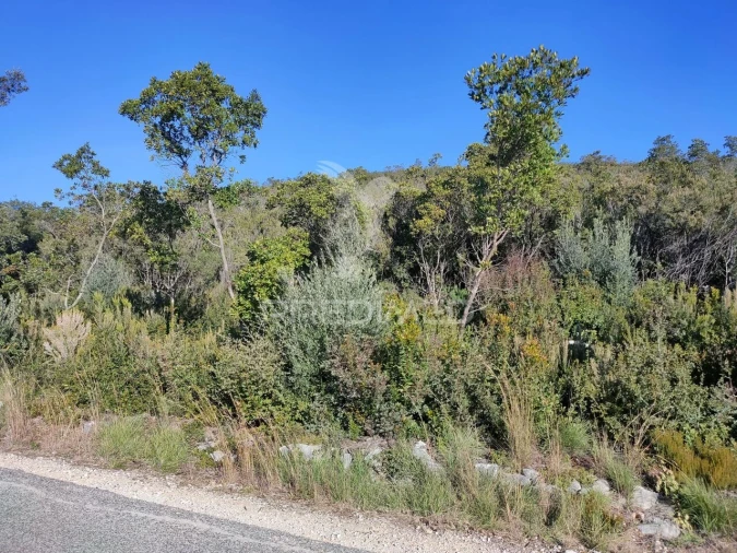 Terreno para Venda em Malhou, Louriceira e Espinheiro Foto 2