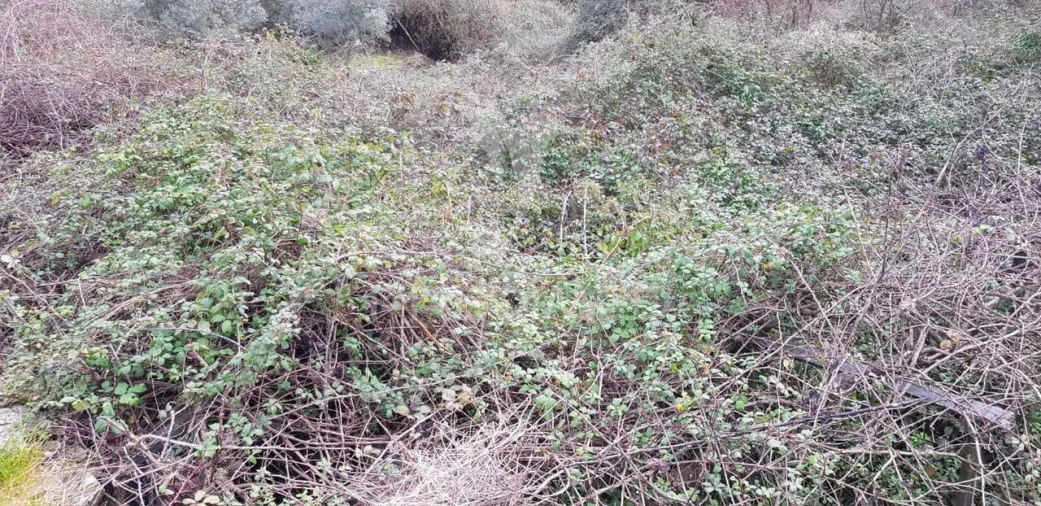 Terreno para Venda em Moura Morta e Vinhós Foto 1