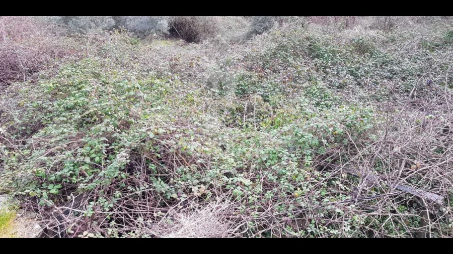 Terreno para Venda em Moura Morta e Vinhós
