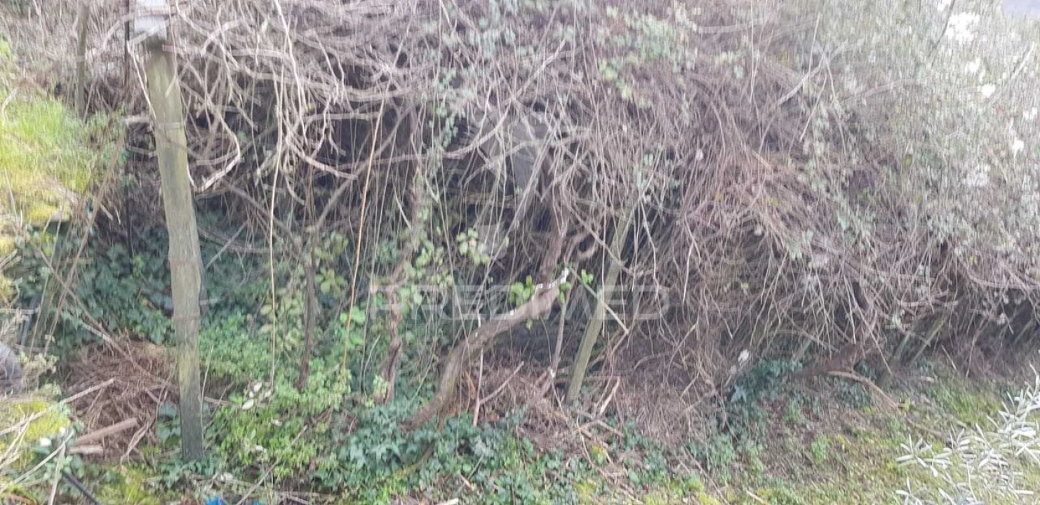 Terreno para Venda em Moura Morta e Vinhós Foto 2