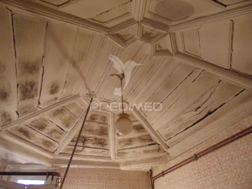 Prédio para Venda em Nossa Senhora da Conceição, São Pedro e São Dinis