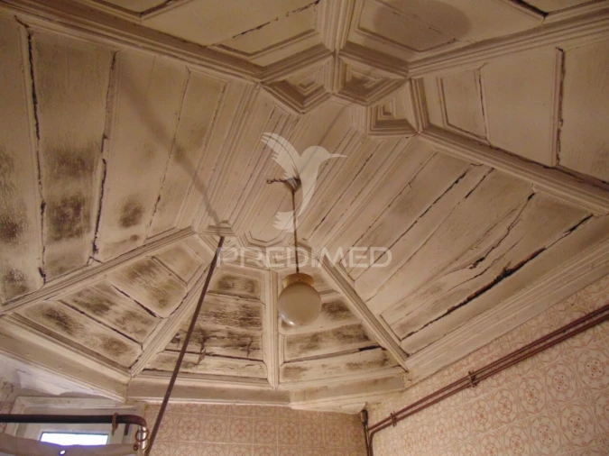 Prédio para Venda em Nossa Senhora da Conceição, São Pedro e São Dinis Foto 6