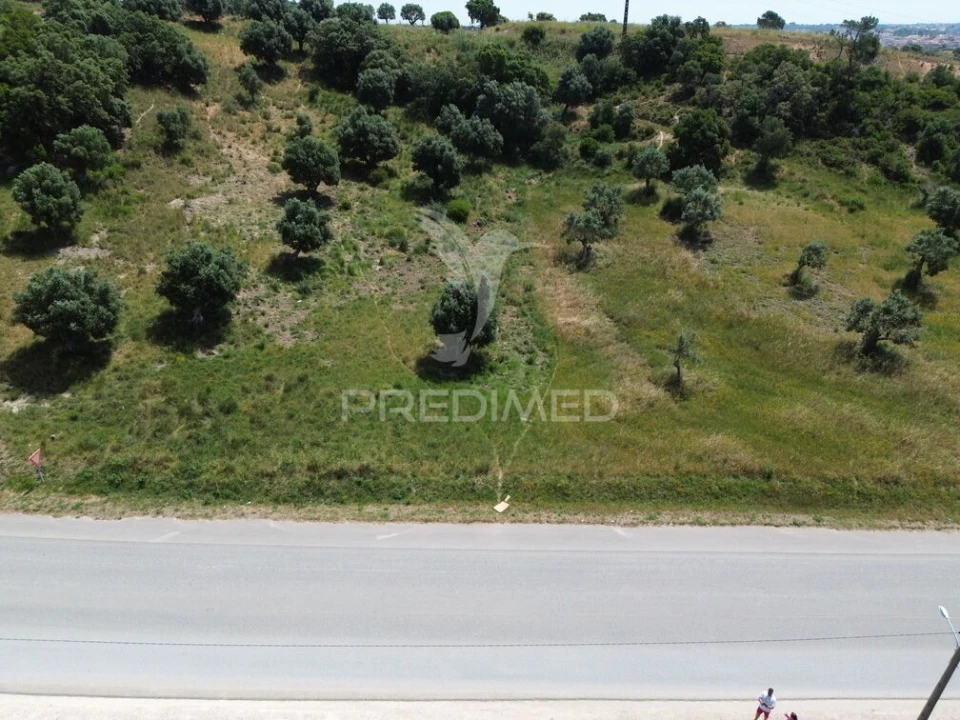 Terreno para Venda em Alcanena e Vila Moreira Foto 4