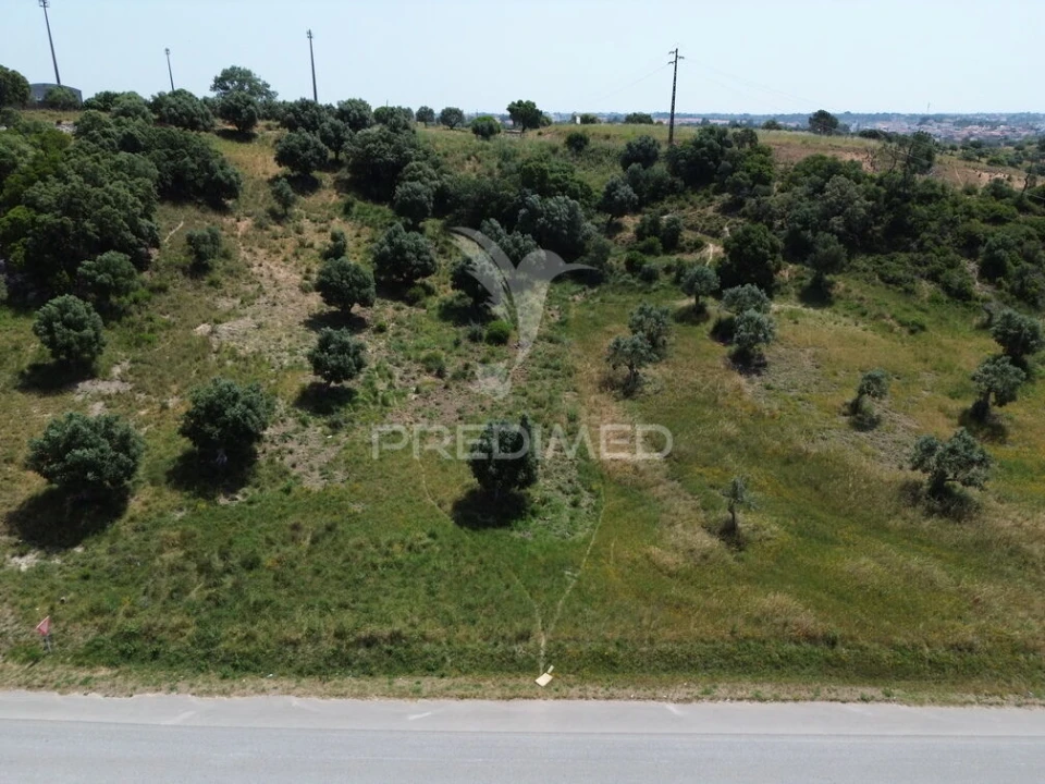 Terreno para Venda em Alcanena e Vila Moreira Foto 5
