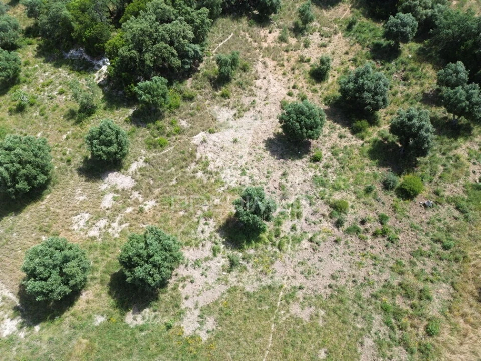 Terreno para Venda em Alcanena e Vila Moreira Foto 15