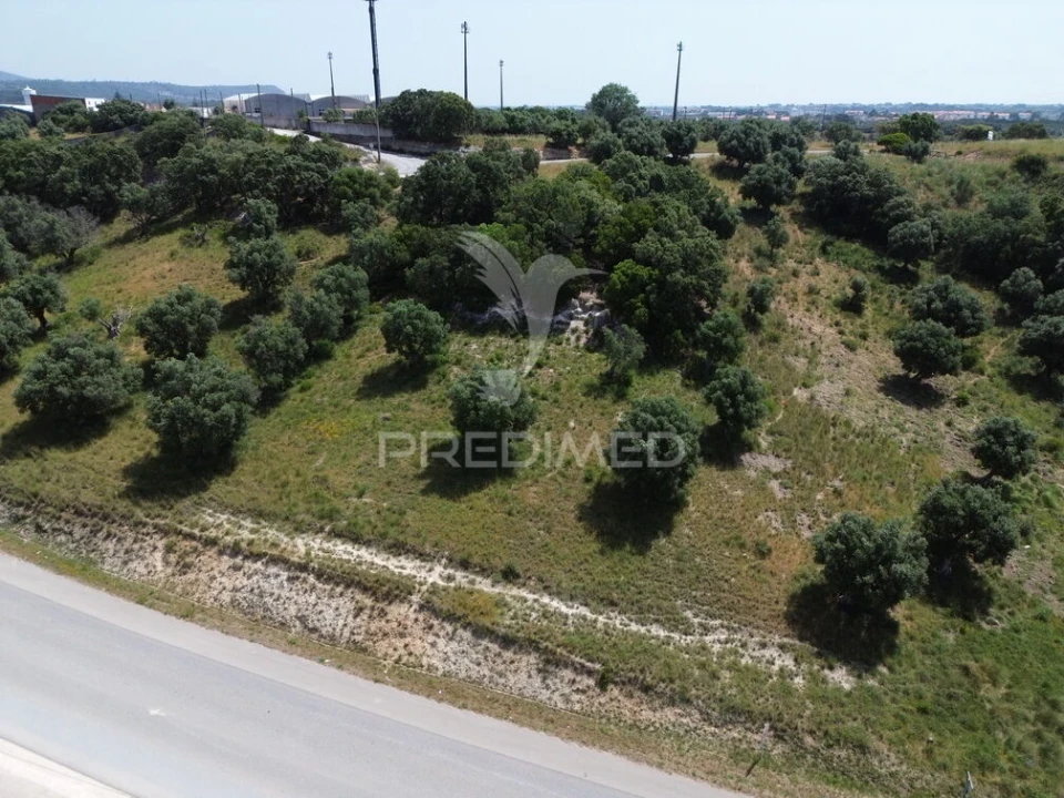 Terreno para Venda em Alcanena e Vila Moreira Foto 7