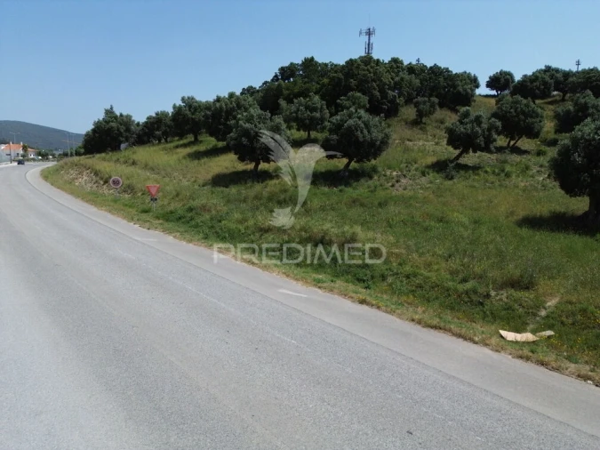 Terreno para Venda em Alcanena e Vila Moreira Foto 2