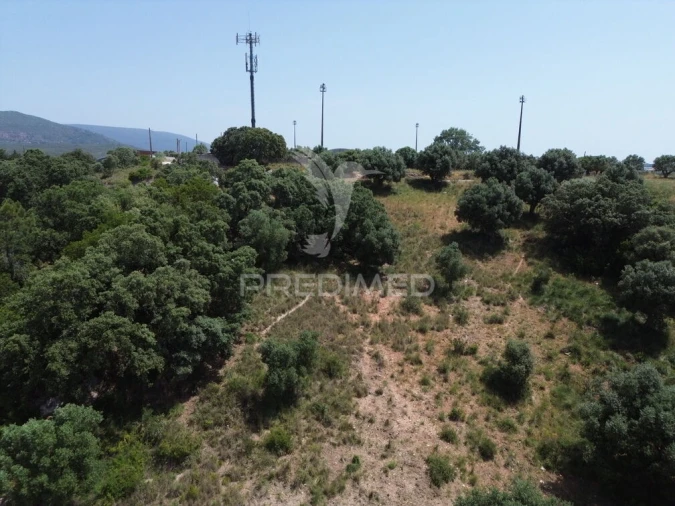 Terreno para Venda em Alcanena e Vila Moreira Foto 16