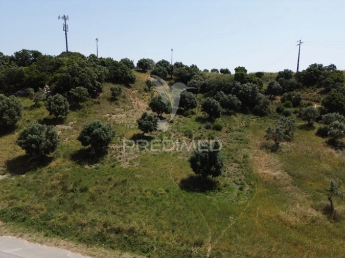 Terreno para Venda em Alcanena e Vila Moreira Foto 19