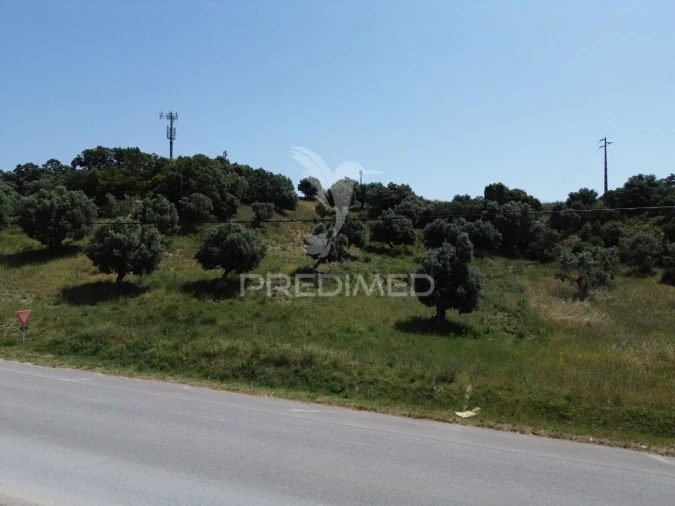 Terreno para Venda em Alcanena e Vila Moreira Foto 9