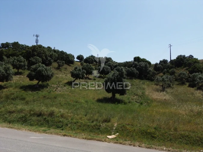 Terreno para Venda em Alcanena e Vila Moreira Foto 3