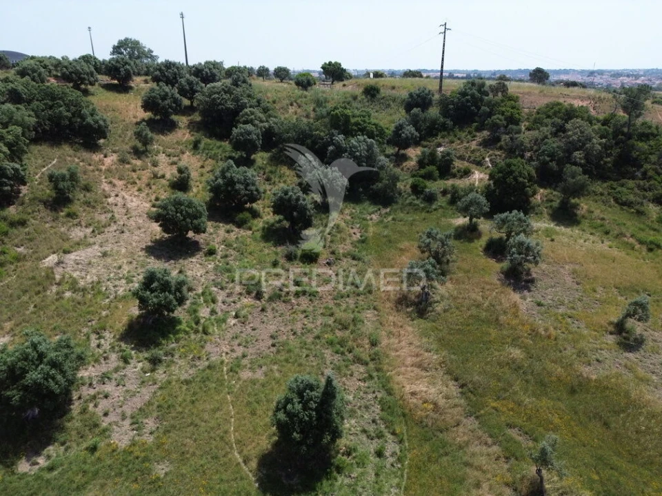 Terreno para Venda em Alcanena e Vila Moreira Foto 13