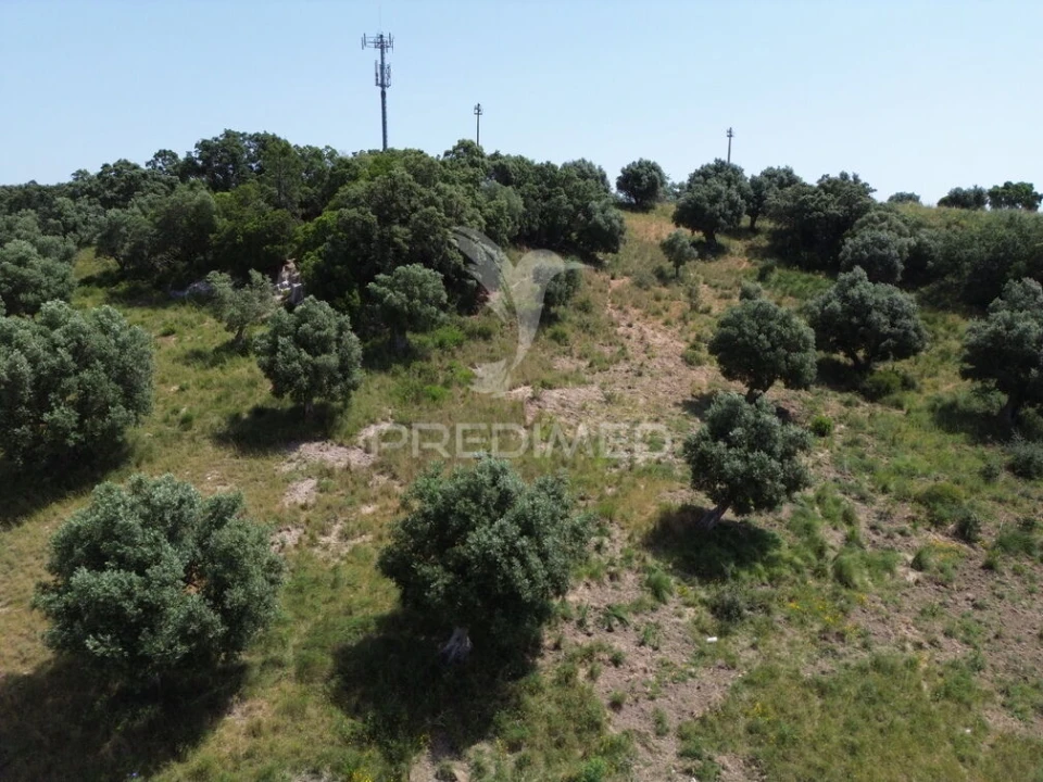 Terreno para Venda em Alcanena e Vila Moreira Foto 20