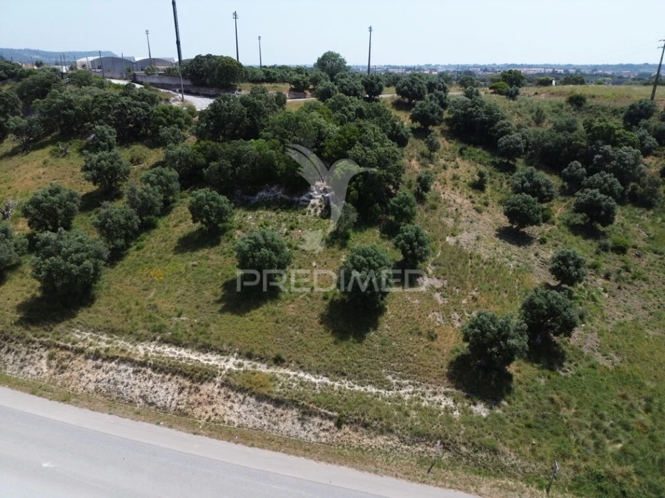 Terreno para Venda em Alcanena e Vila Moreira Foto 6